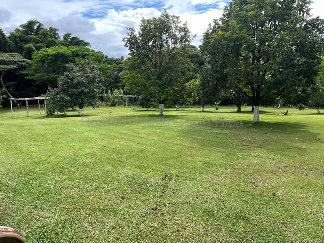 Venta casa rodeada de naturaleza con amplio terreno #26-1533 GS - Imagen 9