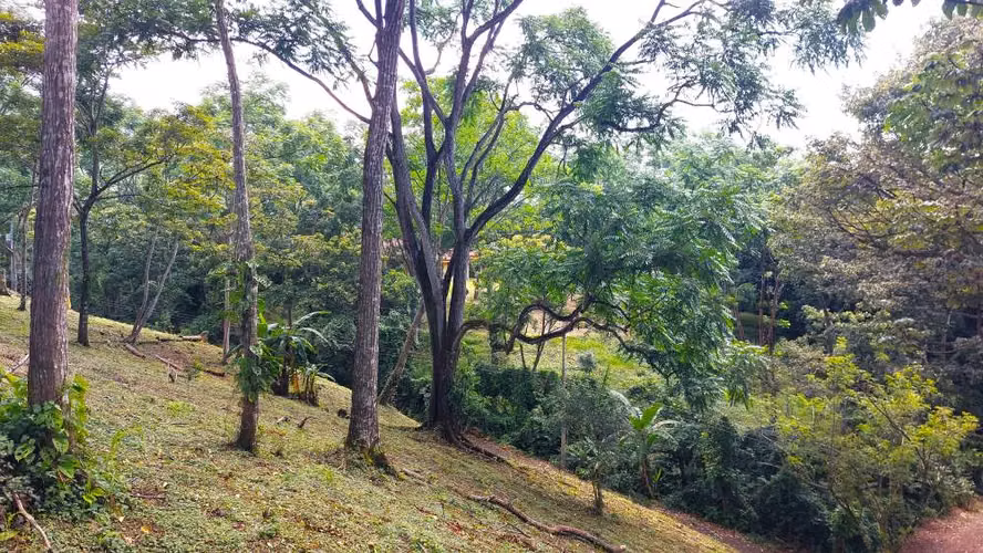 BELLO LOTE 6227m², PURISCAL, RESIDENCIAL CERRADO, NATURALEZA, INTERNET