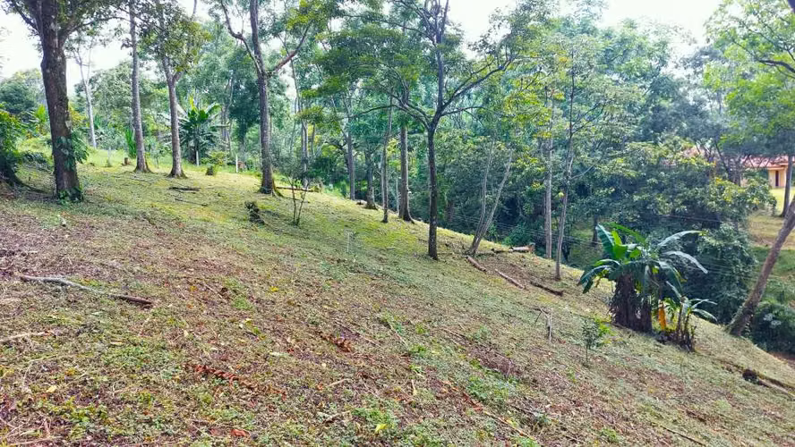 BELLO LOTE 6227m², PURISCAL, RESIDENCIAL CERRADO, NATURALEZA, INTERNET