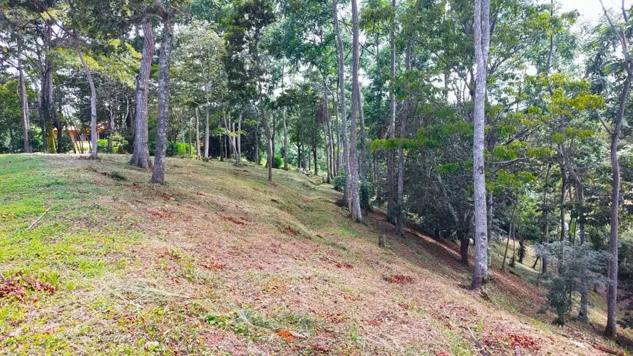 BELLO LOTE 6227m², PURISCAL, RESIDENCIAL CERRADO, NATURALEZA, INTERNET
