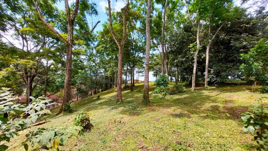 BELLO LOTE 6227m², PURISCAL, RESIDENCIAL CERRADO, NATURALEZA, INTERNET