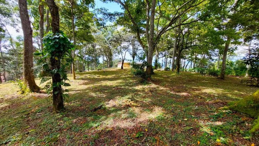BELLO LOTE 6227m², PURISCAL, RESIDENCIAL CERRADO, NATURALEZA, INTERNET