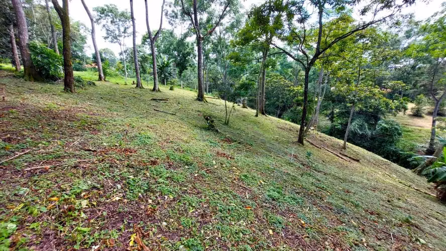 BELLO LOTE 6227m², PURISCAL, RESIDENCIAL CERRADO, NATURALEZA, INTERNET