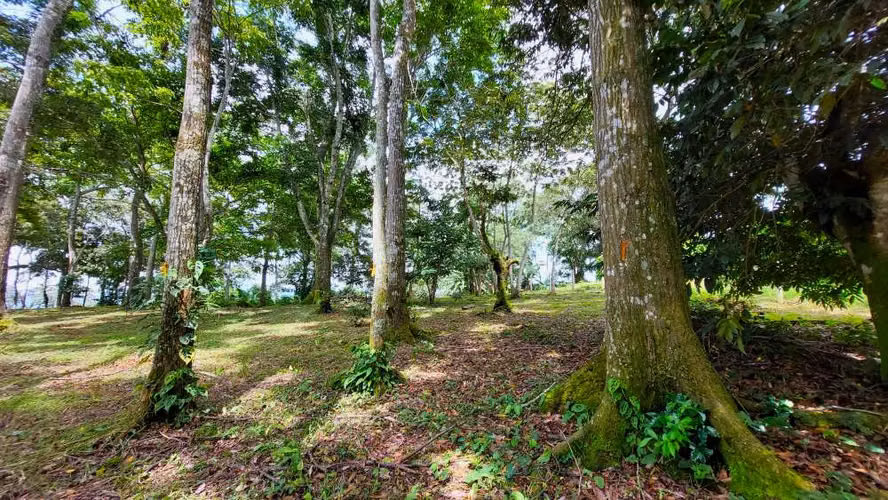 BELLO LOTE 6227m², PURISCAL, RESIDENCIAL CERRADO, NATURALEZA, INTERNET