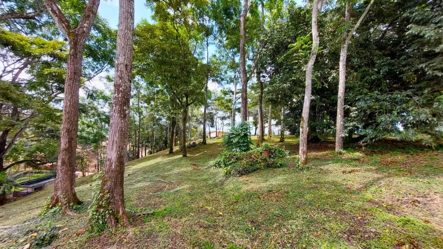 BELLO LOTE 6227m², PURISCAL, RESIDENCIAL CERRADO, NATURALEZA, INTERNET