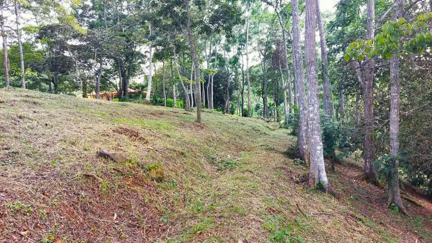 BELLO LOTE 6227m², PURISCAL, RESIDENCIAL CERRADO, NATURALEZA, INTERNET