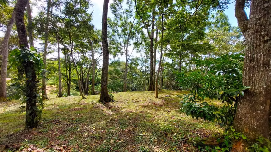 BELLO LOTE 6227m², PURISCAL, RESIDENCIAL CERRADO, NATURALEZA, INTERNET
