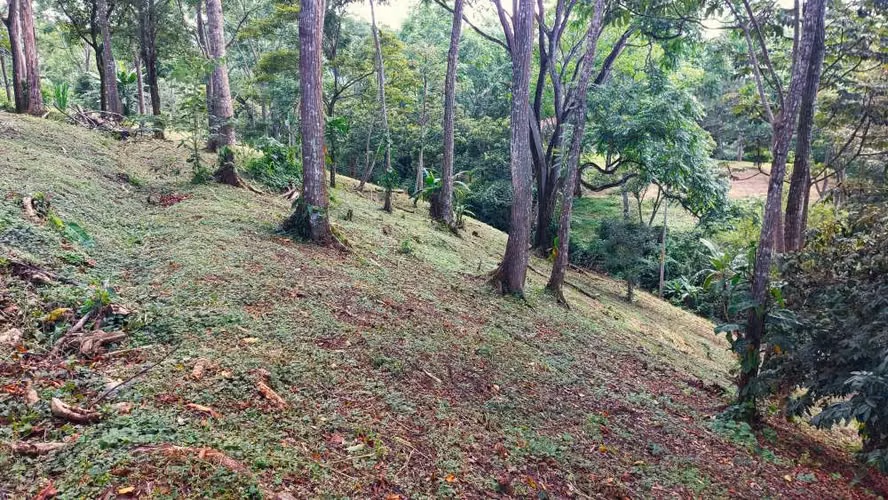 BELLO LOTE 6227m², PURISCAL, RESIDENCIAL CERRADO, NATURALEZA, INTERNET