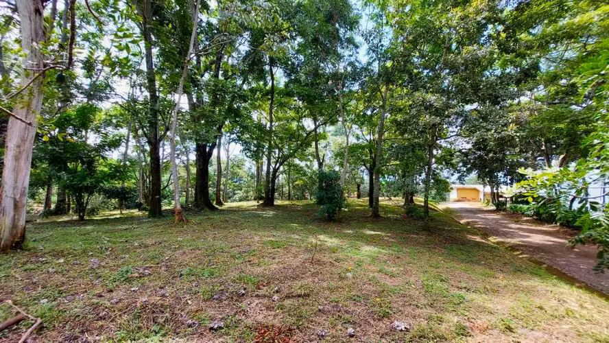 BELLO LOTE 6227m², PURISCAL, RESIDENCIAL CERRADO, NATURALEZA, INTERNET