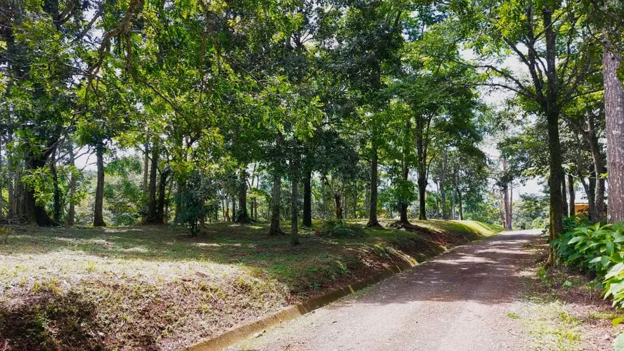 BELLO LOTE 6227m², PURISCAL, RESIDENCIAL CERRADO, NATURALEZA, INTERNET