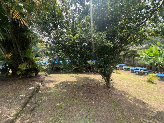 Venta casa con piscina, jacuzzi y potencial turístico #26-876 GS - Imagen 17