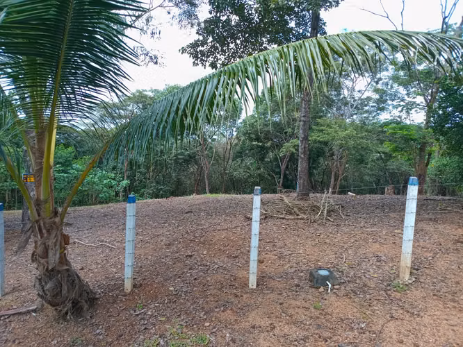 Lote Turrubares 1.405 m2 - Imagen 10