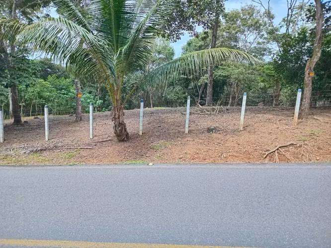 Lote Turrubares 1.405 m2 - Imagen 9
