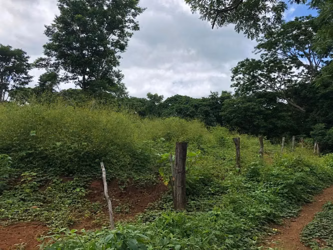 Lote Estratégico Tamarindo Guanacaste | Potencial Comercial Residencial - Imagen 11