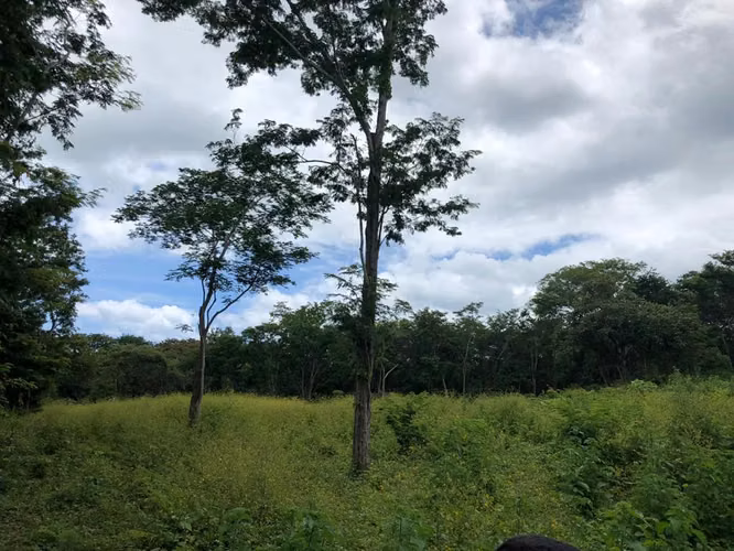 Lote Estratégico Tamarindo Guanacaste | Potencial Comercial Residencial - Imagen 13