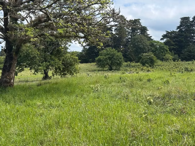 Ventas de Quintas de 7000 m2, Barva, Heredia