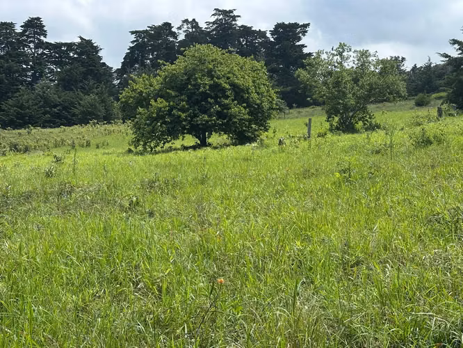 Ventas de Quintas de 7000 m2, Barva, Heredia