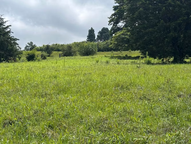 Ventas de Quintas de 7000 m2, Barva, Heredia