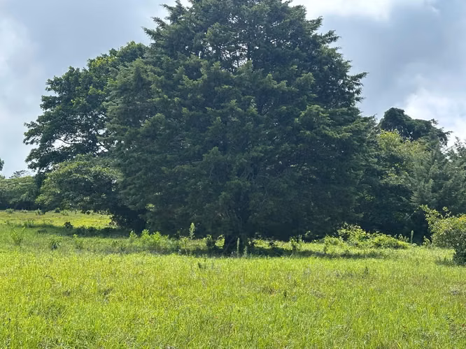 Ventas de Quintas de 7000 m2, Barva, Heredia