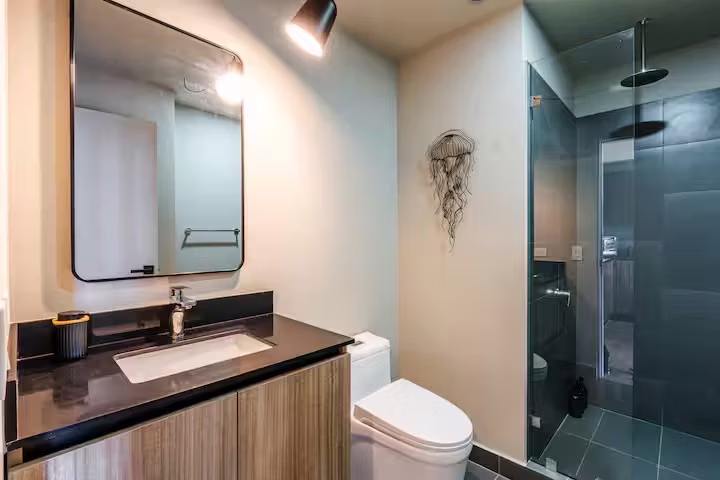 Apartamento Alquiler Full Amueblado 1 habitacion | Nunciatura, Rohrmoser - Imagen 5