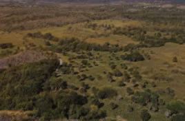 LOTES HACIENDA SYLVARA BAGACES GUANACASTE