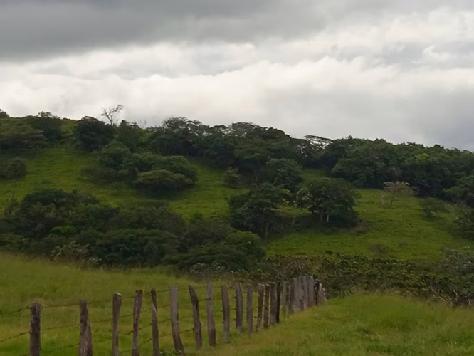 Finca Ganadera 420 Ha, Palmira de Cañas, Guanacaste