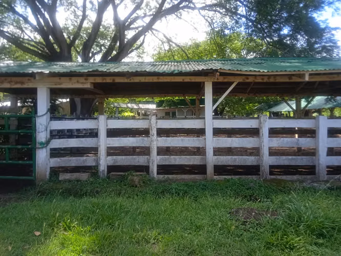 Finca Ganadera 420 Ha, Palmira de Cañas, Guanacaste
