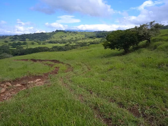 Finca Ganadera 420 Ha, Palmira de Cañas, Guanacaste