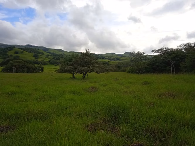 Finca Ganadera 420 Ha, Palmira de Cañas, Guanacaste