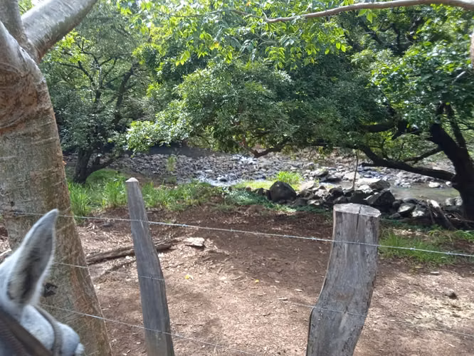 Finca Ganadera 420 Ha, Palmira de Cañas, Guanacaste