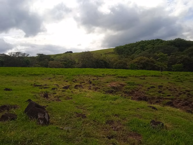 Finca Ganadera 420 Ha, Palmira de Cañas, Guanacaste