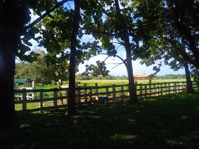 Finca Ganadera 420 Ha, Palmira de Cañas, Guanacaste