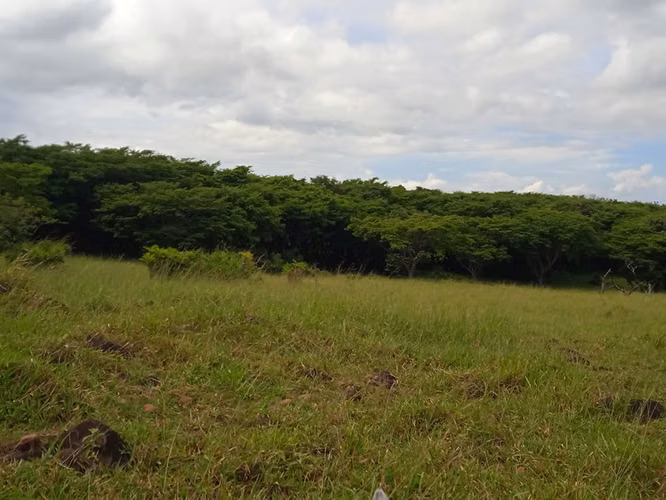 Finca Ganadera 420 Ha, Palmira de Cañas, Guanacaste
