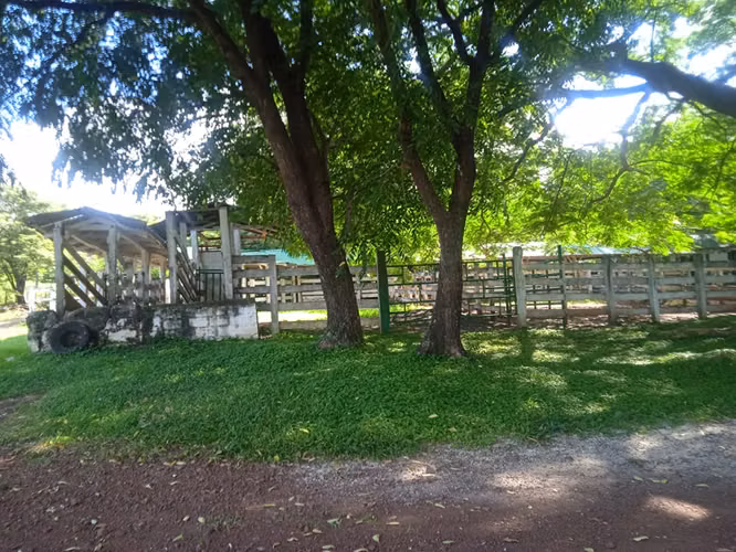 Finca Ganadera 420 Ha, Palmira de Cañas, Guanacaste