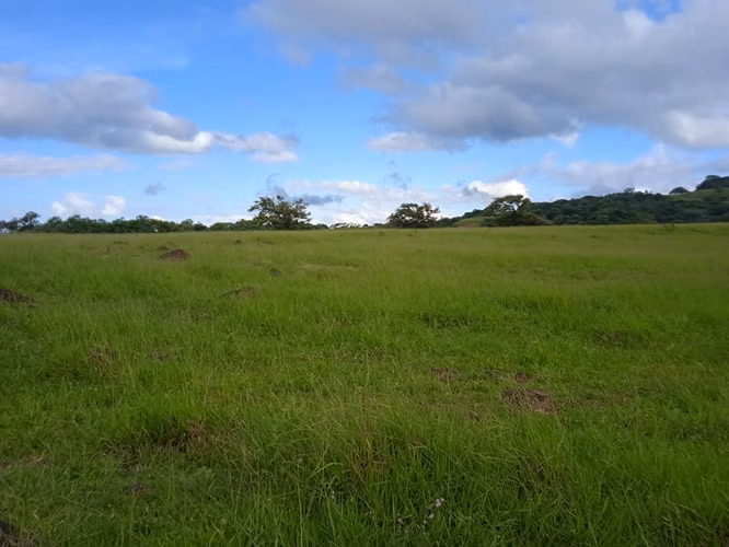 Finca Ganadera 420 Ha, Palmira de Cañas, Guanacaste
