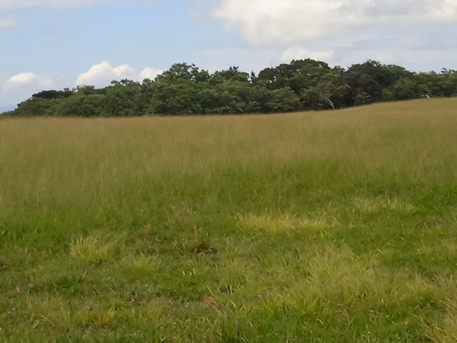 Finca Ganadera 420 Ha, Palmira de Cañas, Guanacaste