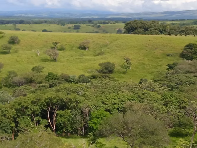 Finca Ganadera 420 Ha, Palmira de Cañas, Guanacaste