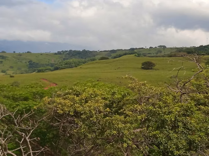 Finca Ganadera 420 Ha, Palmira de Cañas, Guanacaste