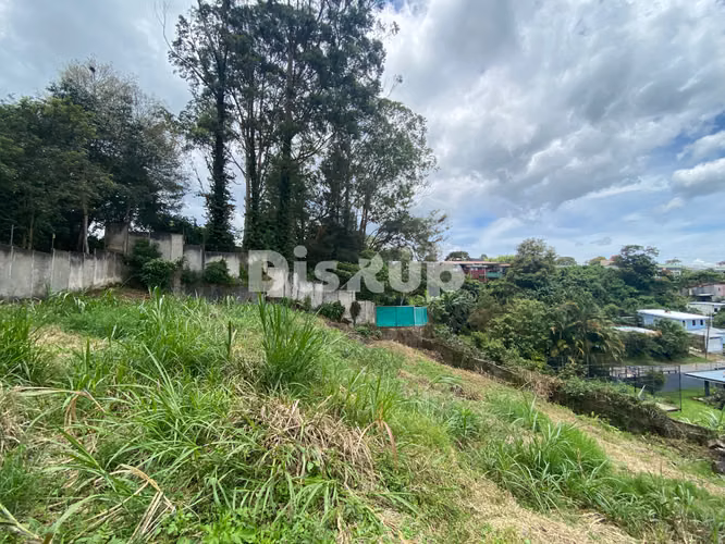 Venta de terreno de 810 m2. San Rafael de Montes de Oca - Imagen 8