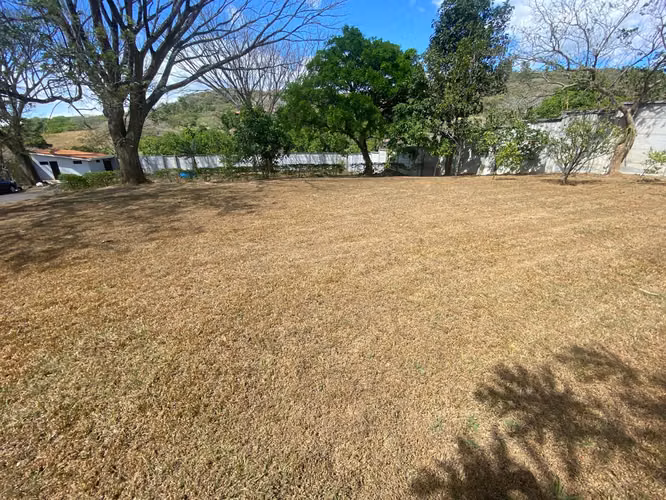 Venta de Lote en la Guacima, Alajuela - Imagen 7
