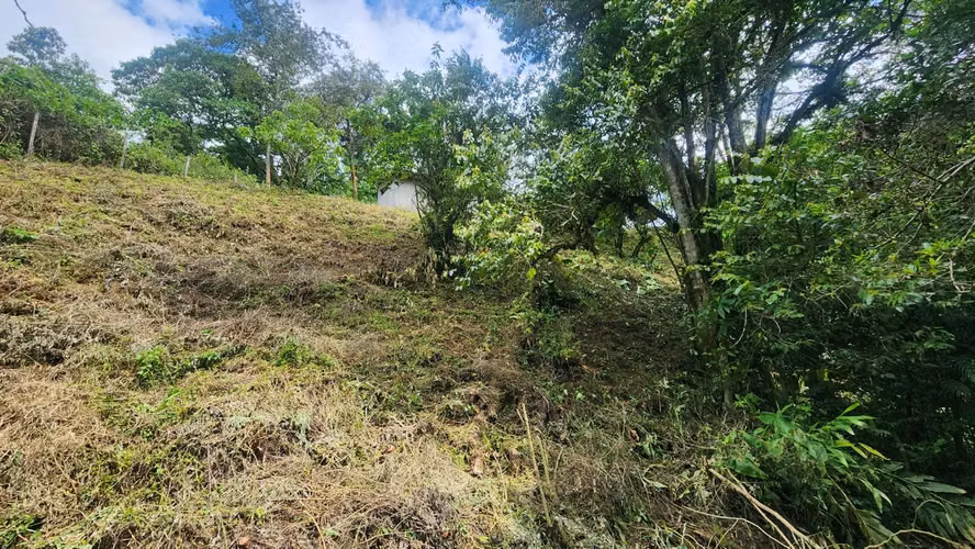 Venta de lote  en Montes de Oca, San Rafael - Imagen 3