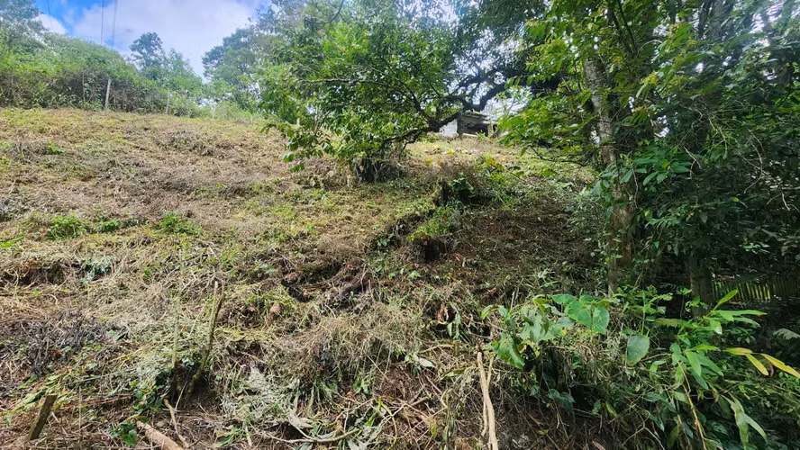 Venta de lote  en Montes de Oca, San Rafael - Imagen 4