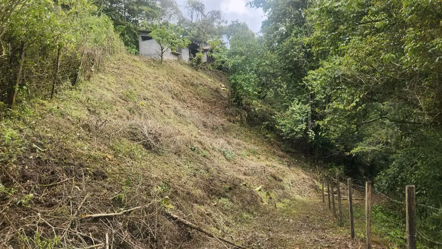 Venta de lote  en Montes de Oca, San Rafael - Imagen 6