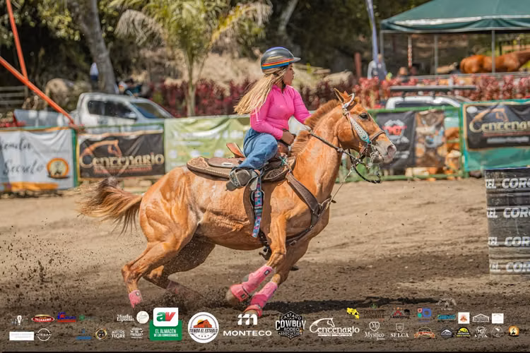 VENTA DE CABALLO CUARTO DE MILLA PURO HECHO PARA RODEO