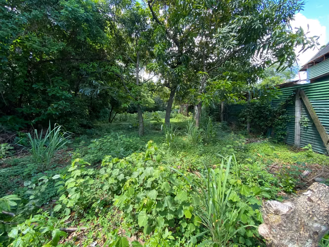 Venta de Terreno frente a calle principal en Santa Ana. 6028 - Imagen 10