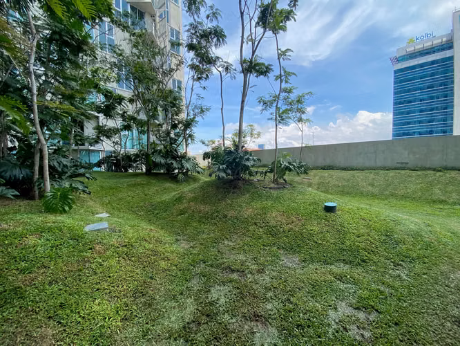 Alquiler de Apartamento Amueblado en Sabana Sur, San Jose. 6030 - Imagen 6