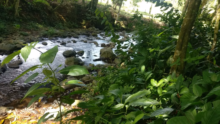 Venta de Terreno en Santa Rita de Río Cuarto, Grecia, Alajuela - Imagen 7