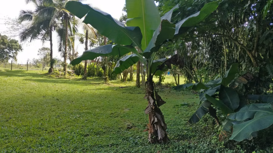 Venta de Terreno en Santa Rita de Río Cuarto, Grecia, Alajuela - Imagen 3