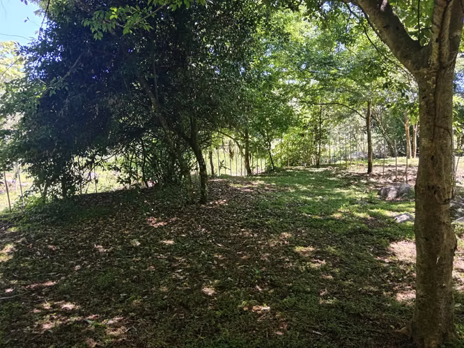 Venta de lotes en Guacimal, Puntarenas - Imagen 6