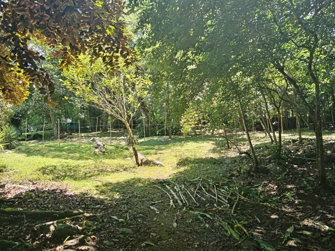 Venta de lotes en Guacimal, Puntarenas - Imagen 9